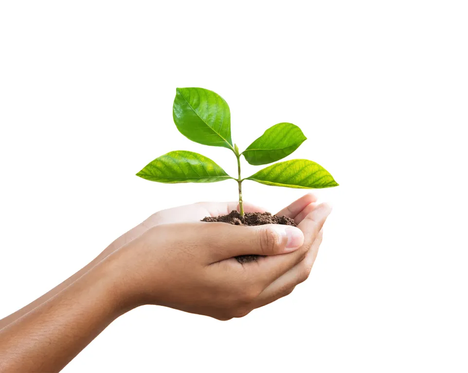 Kompost aus Bioabfällen ist besonders nährstoffreich! Kompost aus Bioabfällen ist besonders nährstoffreich!